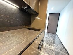 One Bernam (D2), Apartment #529213311